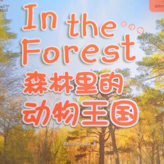 in the forest单词
