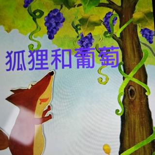 幼儿故事《狐狸和葡萄》
