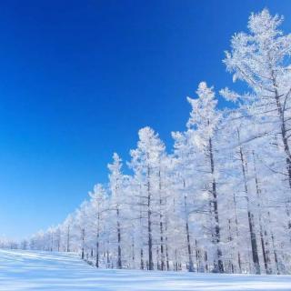 夏天听雨冬天看雪