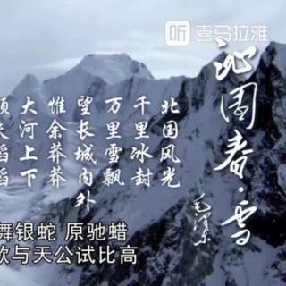 《沁园春.雪》