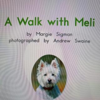 A Walk with Meli