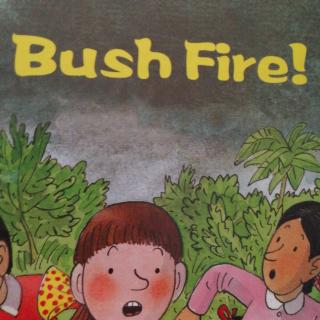 Bush Fire!预习