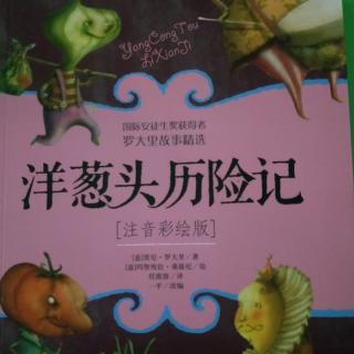 《洋葱头历险记》