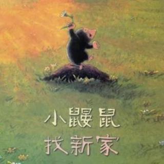 《小鼹鼠  找新家》