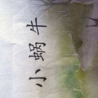 小蜗牛—贺鹏睿