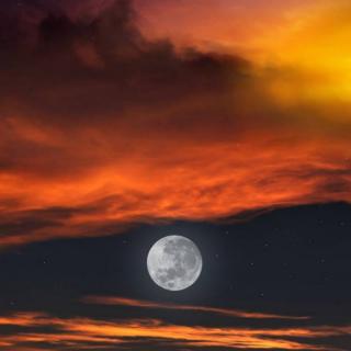 《我陪月亮穿行云中》作者：刘林丽  诵读：夜色阑珊