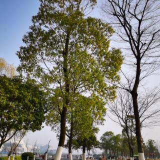 浅谈零售药店的慢病管理（6）：药企和药房合作的思考