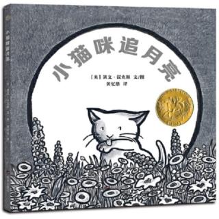 小猫咪追月亮 - CC