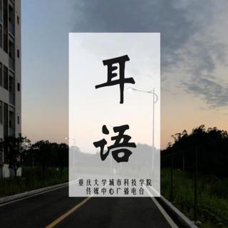 201228耳语《走自己的路，让别人说去吧》