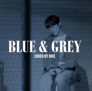 Blue & Grey『Nive(蓝灰制作人之一)cover』