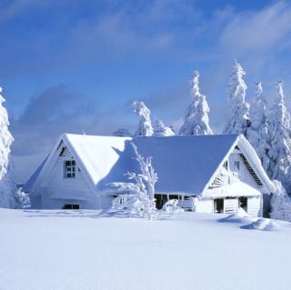 冰天雪地里的温暖