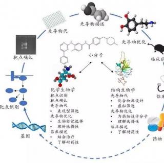 现代药物是怎么开发出来的