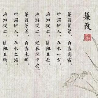 每日一诗–《蒹葭》