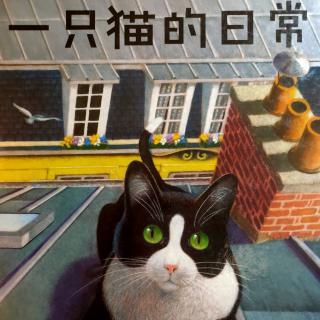 绘本故事《一只猫的日常》