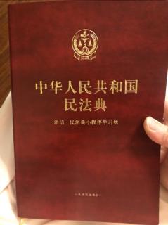 《中华人民共和国民法典》----第一编 总则 （6）