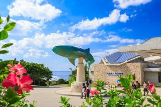 39. 冲绳必去的景点，美丽海洋水族馆导览