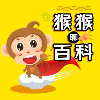 [冷知识]-香水难道是粪便做的？