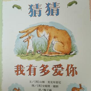 猜猜我有多爱你