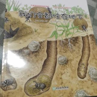 蒲公英科学绘本系列  我们全都住在地下