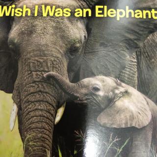 I Wish I Was An Elephant