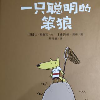 一只聪明的笨狼