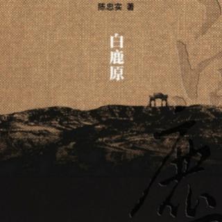 《文学名著连载》第十一章3.