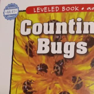 Counting  bugs
