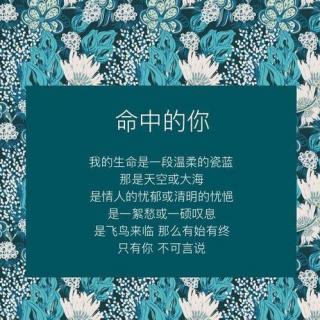 【 刘美麟/王以太专辑】不可言说