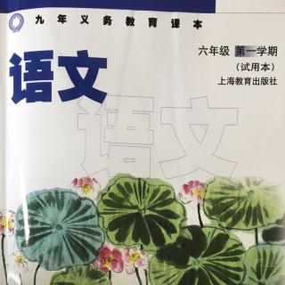 六上语文【19】藏羚羊跪拜