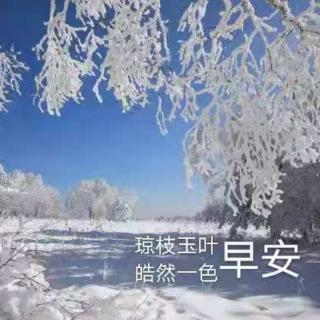 喀纳斯早安心语12.31