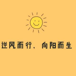 傻瓜一次，你就会找到答案。