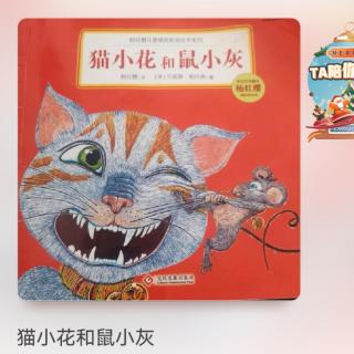 童乐幼儿园晚安🌙故事
《猫小花🐱和鼠🐭小灰》