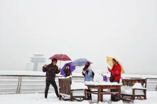 雪花❄️ 王云祥