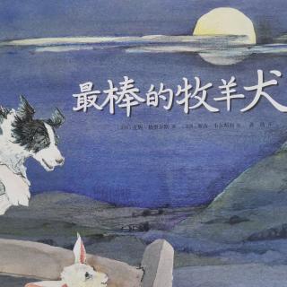 第57夜《最棒的牧羊犬》悠悠老师和刘锦蓉小朋友