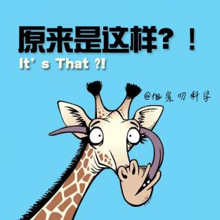 133：“强迫症”还有救么？