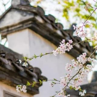 斜阳，杏花湾！水绕村庄，起炊烟