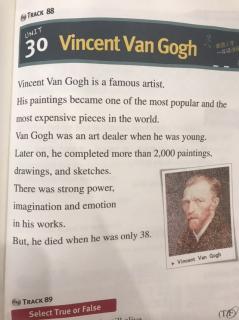 30.Vincent Van Gogh