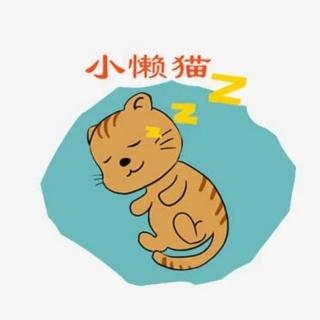 绘本故事《小懒猫》