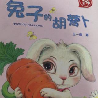 兔子🐰的胡萝卜🥕（47—76页）