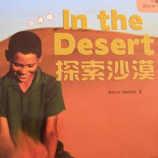 in the desert单词