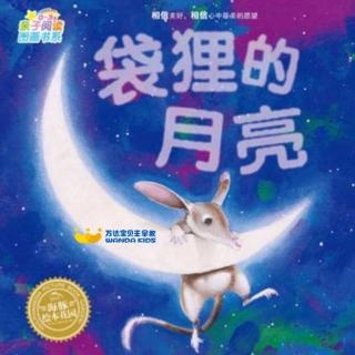 宝贝王早教睡前故事-袋狸的月亮
