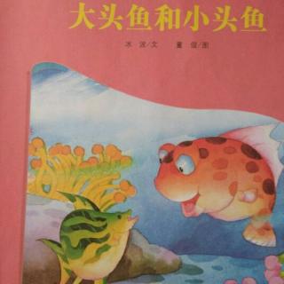 【海贝🌺】余老师晚安💤小故事第149天《大头鱼🐟和小头鱼🐟》