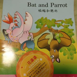 Bat and Parrot
