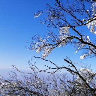 雪花的快乐