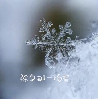 除夕那一场雪（作者：辛戈）