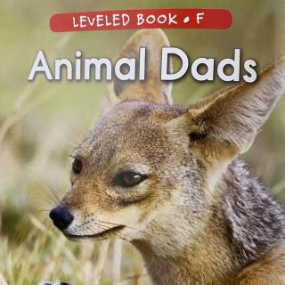 RAZ LevelF 102 - Animal Dads