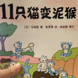 11只猫变泥猴