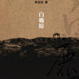 《文学名著连载》第十二章4.