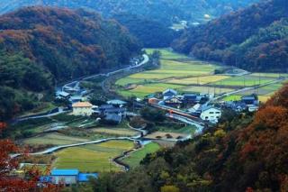 日本的农民为啥比城市人还富？