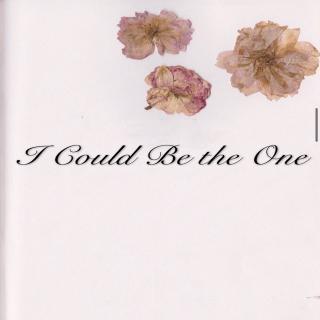 I Could Be The One-Various Artists